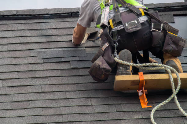 Best Commercial Roof Installation  in Forrest, IL