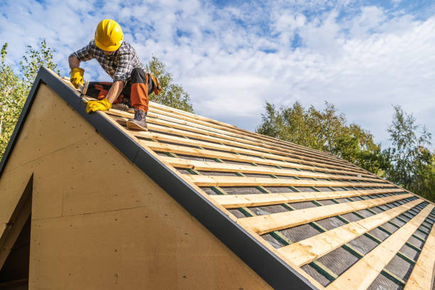 Best Commercial Roofing Services  in Forrest, IL