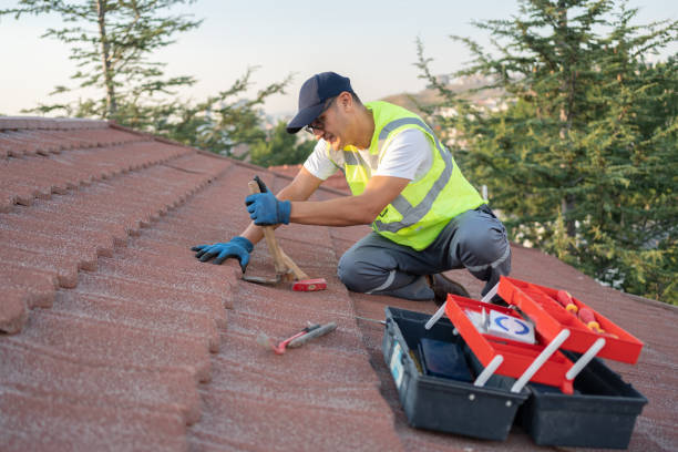 Residential Roof Replacement in Forrest, IL