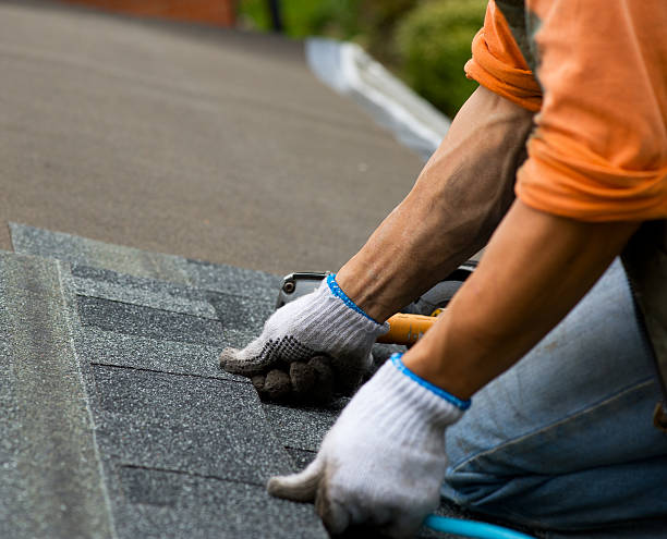 Best Storm Damage Roof Repair  in Forrest, IL