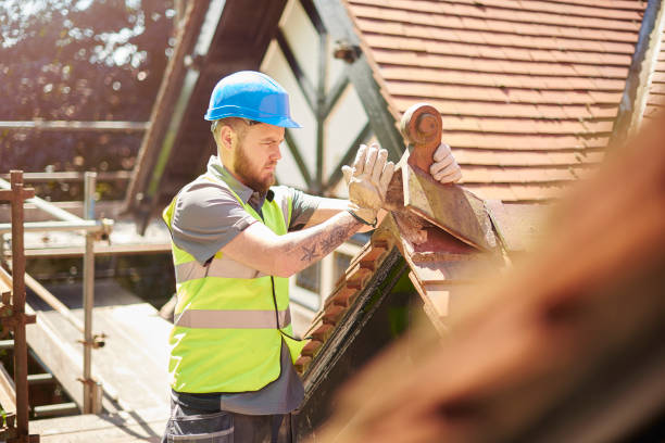 Best New Roof Installation  in Forrest, IL