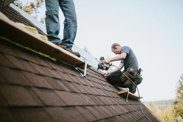 Best Best Roofing Contractors  in Forrest, IL