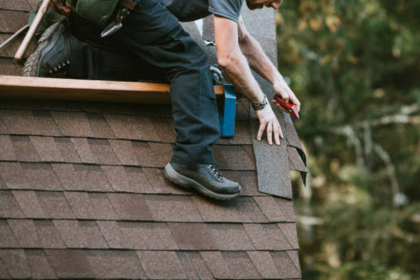 Best Shingle Roofing Installation  in Forrest, IL