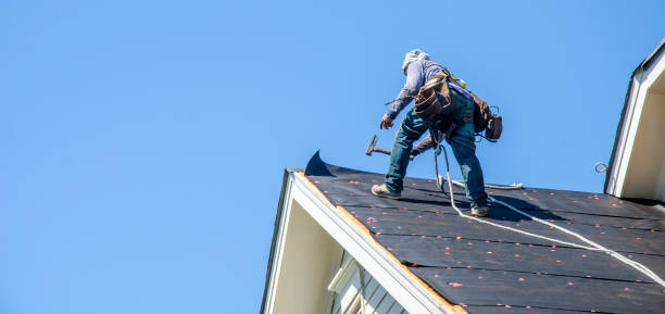 Best Roof Maintenance Services  in Forrest, IL
